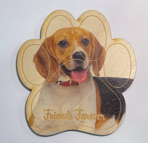 Beagle Magnet