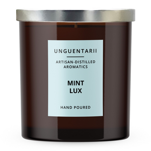 Mint Lux Soy Candle (9oz)